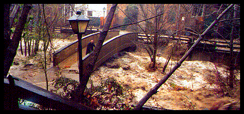 Taking In The Flood