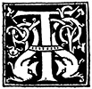the letter T